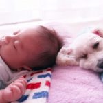 最適な睡眠時間とは?