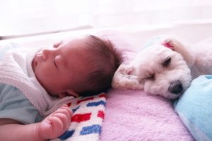 最適な睡眠時間とは？